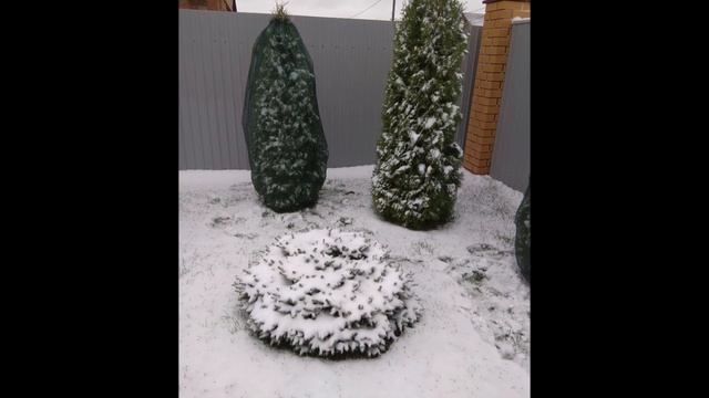 Тамбов 30 октября выпал первый снег! смотреть онлайн