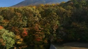 Ну давай, музыкант!