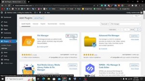 How to access Cpanel & WordPress files Using File Manager Plugin