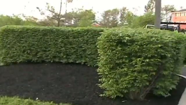 Commercial Services смотреть онлайн