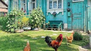 "ЭХ, ДЕРЕВНЯ, ТЫ, ДЕРЕВНЯ!"... (Фото группы "ТЁПЛЫЕ ВОСПОМИНАНИЯ"), музыка - Ансамбль "МЕТЕЛИЦА")