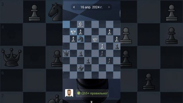 13. Chess quests #shorts