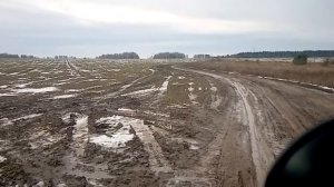 Приключения в районе села Брасово Брянской области