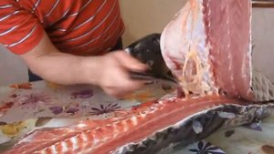 ШОК. Карп весом 18 кг, как его разделать ???!!! Как правильно разделывать карпа.