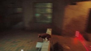 Stray | Нашли Клементину / Побег из тюрьмы | Прохождение #12