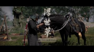 Ghost of Tsushima DIRECTORS CUT