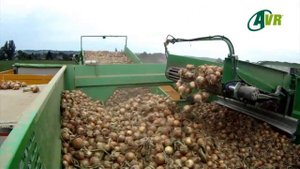 Сбор картофеля-120 тонн картофеля в час, техника Колнаг видео производимая в России.mp4