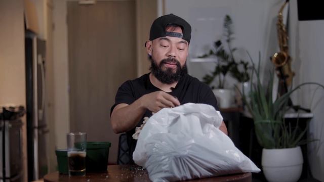 I'm Throwing These Houseplants In The Garbage! смотреть онлайн