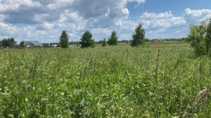 Московская область, г.о Воскресенск, д Ворщиково, ул Центральна