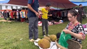 Harvest Jackfruit Garden bring to the market to sell - Feed the pigs - Vàng Hoa