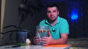 Как сделать простое удобрение из кожуры апельсина для орхидеи своими руками.