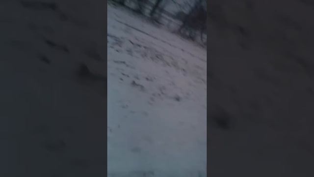 Нечайно отключил камеру но продолжали стучится в двери смотреть онлайн