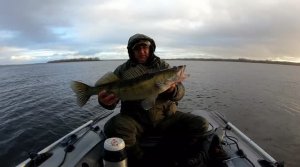 Осенняя рыбалка на джиг. Екатериновская воложка. Рыбалка в Самарской области.