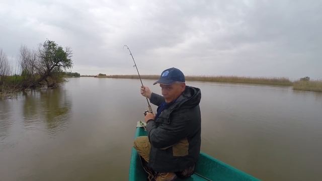 Как поймать жереха. Рыбалка Астрахань Весна Видео смотреть онлайн