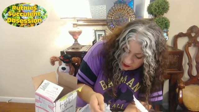 Plant Mail Succulent Swap unboxing With My Succulent Garden смотреть онлайн