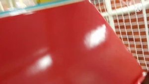 Басик в игровой комнате??