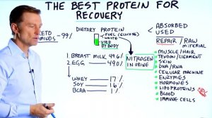 Лучший белок для восстановления организма ?