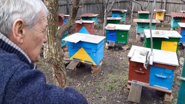 В гостях у Василия Васильевича, ДНР смотреть онлайн