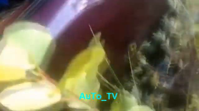 Утопили машину часть №2 смотреть онлайн