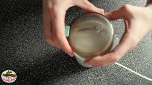 РАЗРЫХЛИТЕЛЬ для теста Всего 4 ИНГРЕДИЕНТА| Как приготовить| Пекарский порошок своими руками