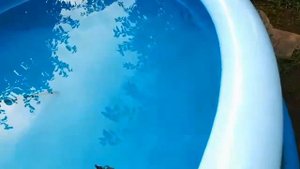 Самый дешёвый фильтр для воды в бассейне.