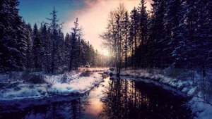 Крещенский СОЧЕЛЬНИК / ВРЕМЯ для МОЛИТВЫ / ПРАВОСЛАВНЫЙ праздник / СПАСИ и СОХРАНИ...