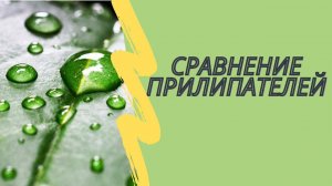 Сравнение прилипателей. Недорогой и эффективный найден.