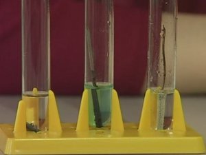 Химия. Опыты. Неорганика. Взаимодействие металлов с солями