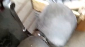 Вклейка стекла на грузовике .Как вас обманывают .