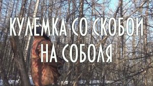 Кулёмка со скобой на соболя своими руками | Ловушки на соболя и куницу | добыча пушнины