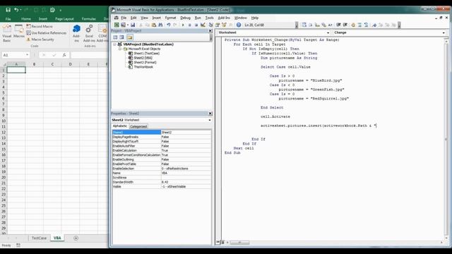 Excel Puzzle : Blue Bird Test