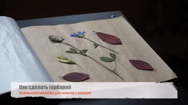 Изучаем природу