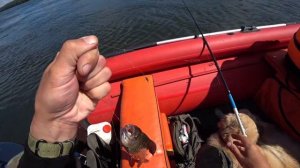 КЛЮЁТ НА КАЖДОМ ЗАБРОСЕ! Отличная рыбалка на Енисее. Ловим крупного хариуса. Июль 2023г