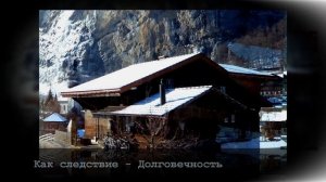 Профилированный брус из лиственницы.