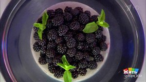 Ежевика против рака. Жить здорово! Фрагмент выпуска от 09.08.2017