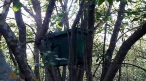 Как и где устанавливать ловушки для пчел, роеловки.