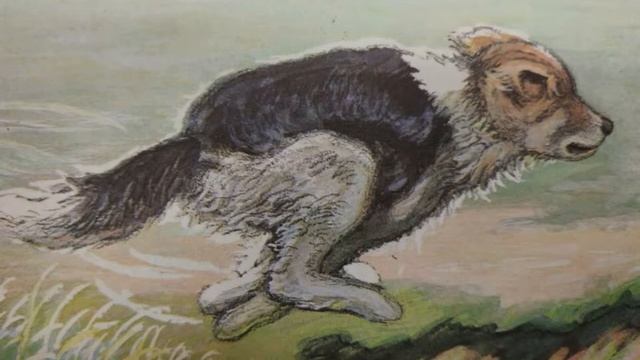 Видеокнига "Чинк" смотреть онлайн