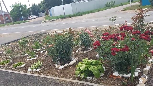 Придомовая клумба.