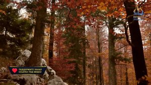 🔴 ДЕНЬ ЗА ДНЁМ (11 октября) - Житие мц. Анны Лыкошиной