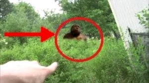 СТРАШНАЯ ИСТОРИИ, СТРАШИЛКА НА НОЧЬ - МОМО