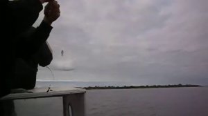 Ловля окуня на джиг,Псковское озеро.