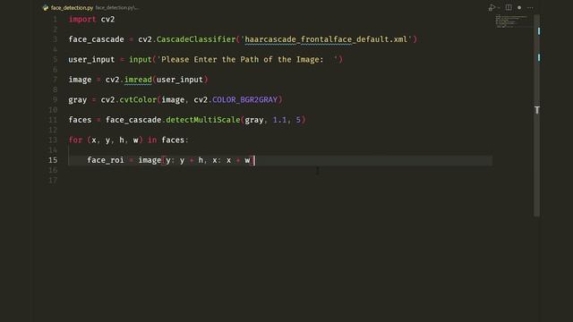 Face Detection in Python Tutorial