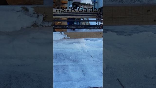 асмр в саду #Shorts