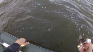 Судак ПОПЁР! Вячеславское водохранилище/Ловля судака на спиннинг/рыбалка2022