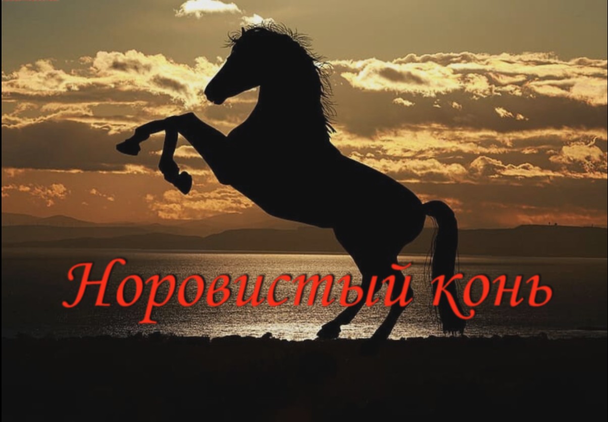 Притча "Норовистый конь". смотреть онлайн