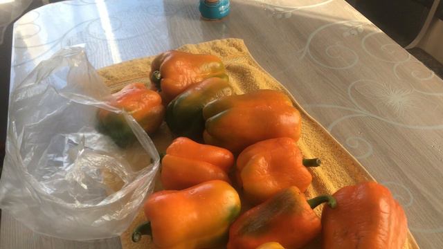 Продлили лечение, надо сдавать анализы. Перцы на заморозку.