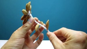 ЦВЕТОК ИЗ ФРУКТОВЫХ КОСТОЧЕК!