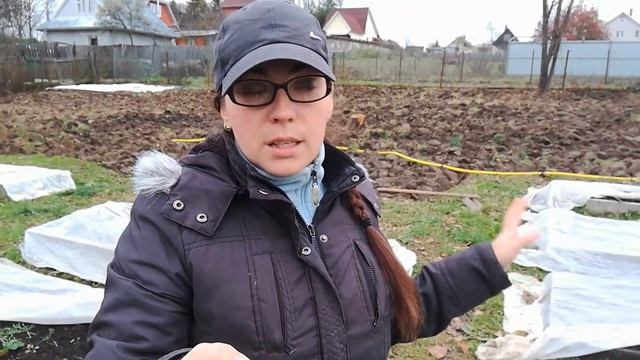 Укрываем клубнику и ежевику на зиму ?? смотреть онлайн