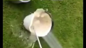 Быстрый способ чистки картофеля