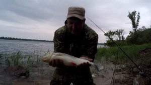 #14 Рыбалка с Берега на Большой Реке Волге. Ловля Голавля на Сильном Течении на Донку Закидушки